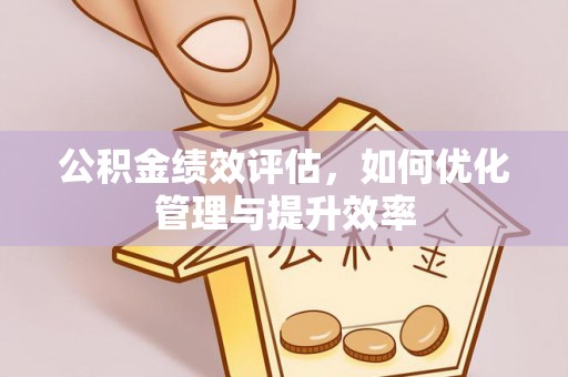 大安公积金绩效评估，如何优化管理与提升效率