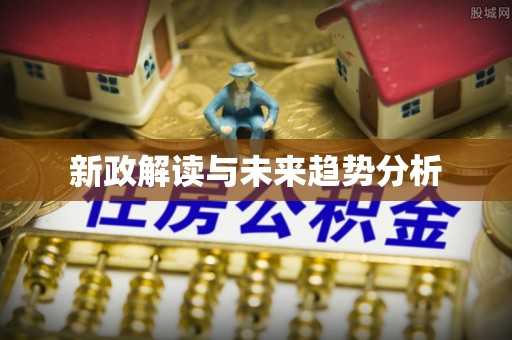 大安新政解读与未来趋势分析