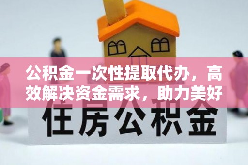 大安公积金一次性提取代办，高效解决资金需求，助力美好生活规划