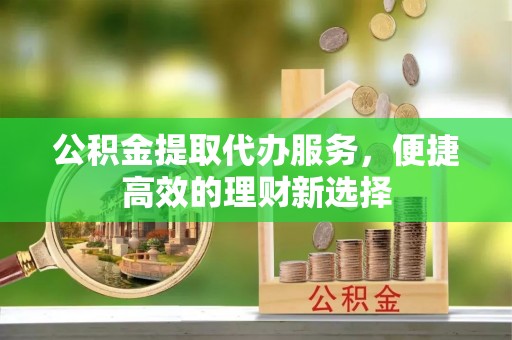 大安公积金提取代办服务，便捷高效的理财新选择