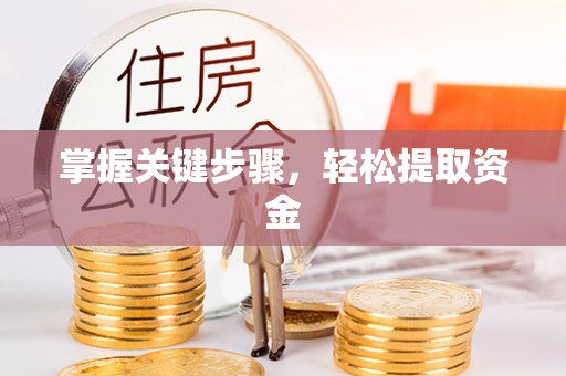 大安掌握关键步骤，轻松提取资金