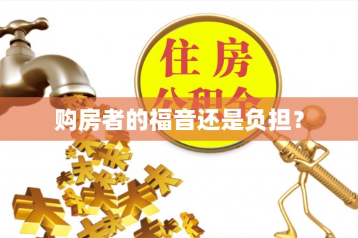 大安购房者的福音还是负担？