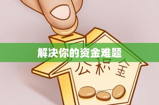 大安解决你的资金难题