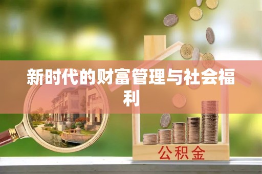 大安新时代的财富管理与社会福利