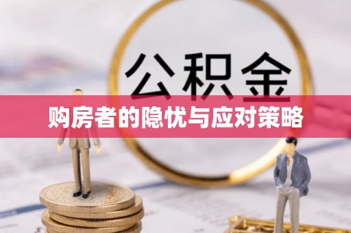 大安购房者的隐忧与应对策略