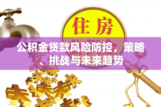 大安公积金贷款风险防控，策略、挑战与未来趋势