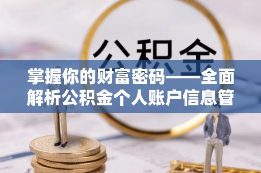 大安掌握你的财富密码——全面解析公积金个人账户信息管理与优化