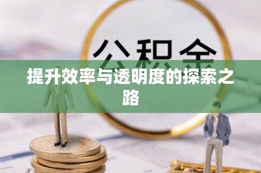 大安提升效率与透明度的探索之路