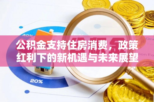 大安公积金支持住房消费，政策红利下的新机遇与未来展望