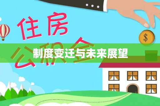 大安制度变迁与未来展望