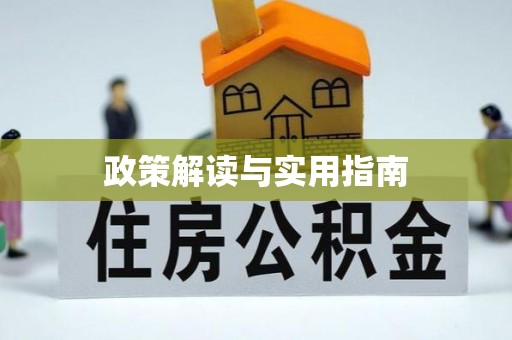 大安政策解读与实用指南