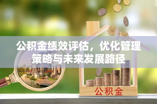 大安公积金绩效评估，优化管理策略与未来发展路径