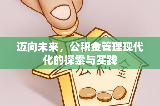 大安迈向未来，公积金管理现代化的探索与实践