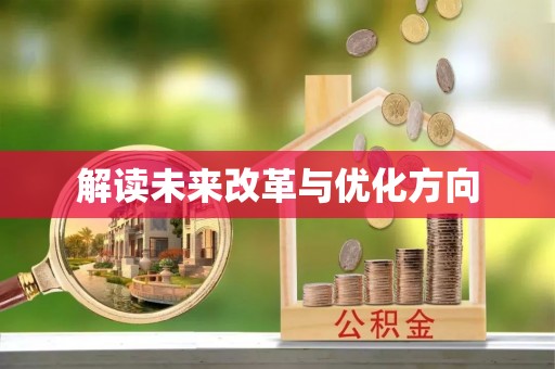 大安解读未来改革与优化方向