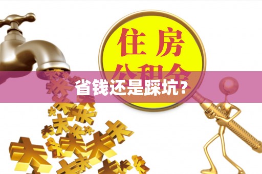 大安省钱还是踩坑？