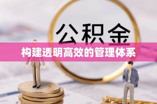 大安构建透明高效的管理体系