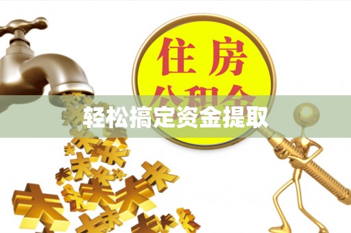 大安轻松搞定资金提取