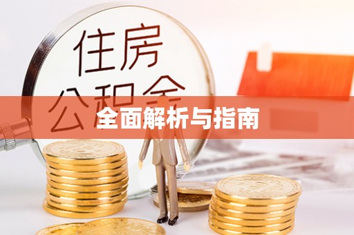 大安全面解析与指南