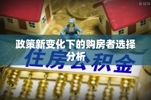 大安政策新变化下的购房者选择分析