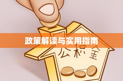 大安政策解读与实用指南