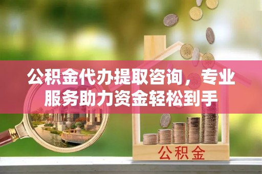 大安公积金代办提取咨询，专业服务助力资金轻松到手