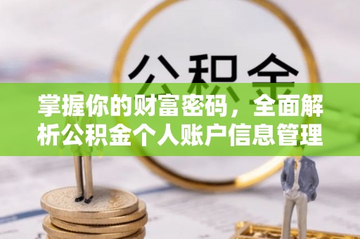 大安掌握你的财富密码，全面解析公积金个人账户信息管理