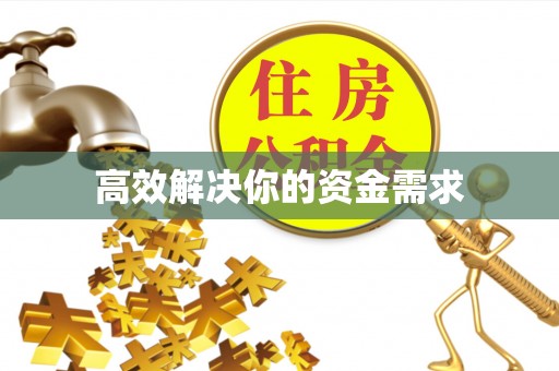 大安高效解决你的资金需求