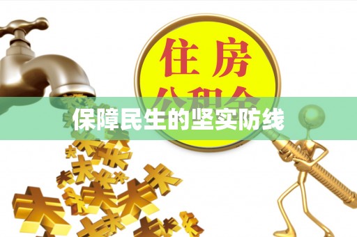 大安保障民生的坚实防线