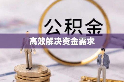 大安高效解决资金需求