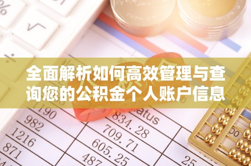 大安全面解析如何高效管理与查询您的公积金个人账户信息