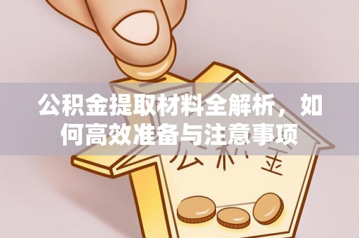 大安公积金提取材料全解析，如何高效准备与注意事项