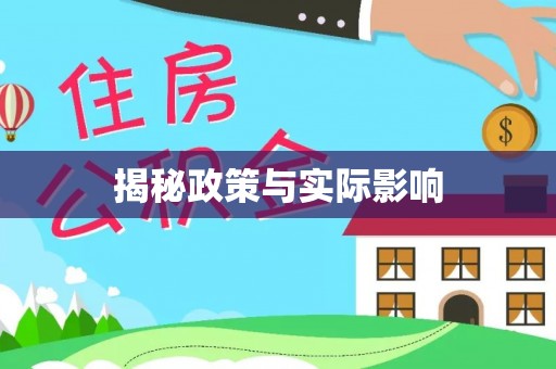 大安揭秘政策与实际影响