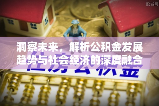 大安洞察未来，解析公积金发展趋势与社会经济的深度融合