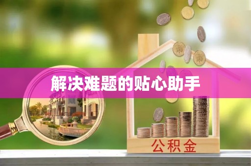 大安解决难题的贴心助手