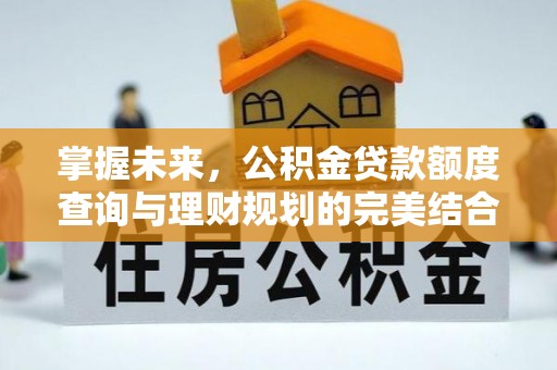 大安掌握未来，公积金贷款额度查询与理财规划的完美结合