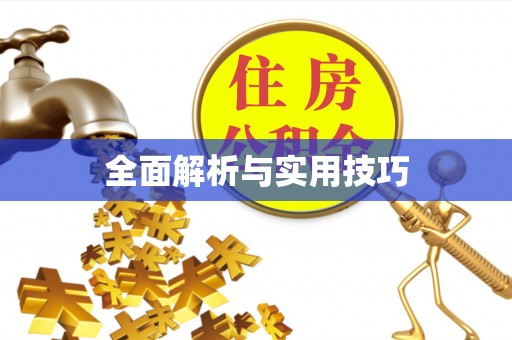 大安全面解析与实用技巧
