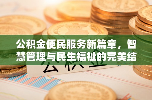 大安公积金便民服务新篇章，智慧管理与民生福祉的完美结合