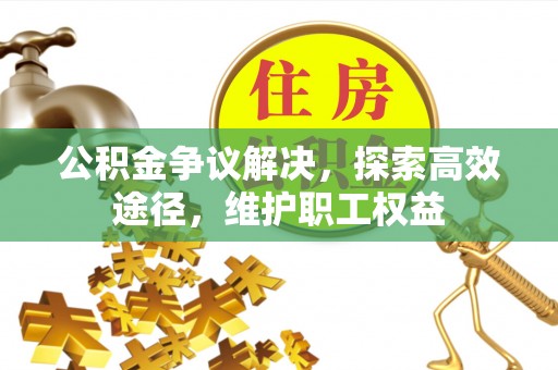 大安公积金争议解决，探索高效途径，维护职工权益
