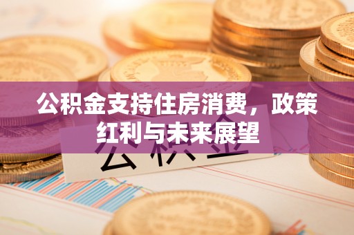 大安公积金支持住房消费，政策红利与未来展望