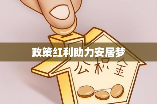 大安政策红利助力安居梦