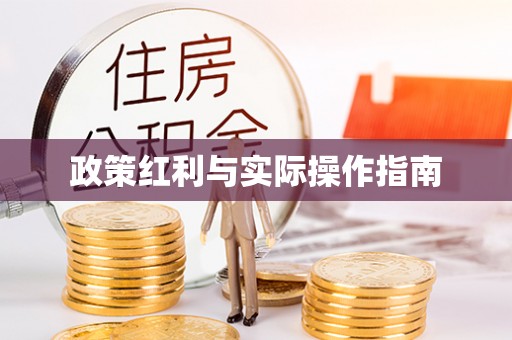 大安政策红利与实际操作指南