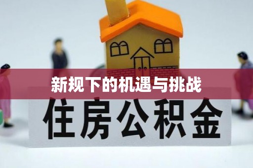 大安新规下的机遇与挑战