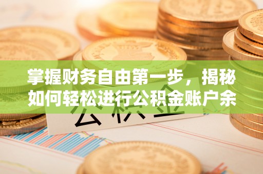 大安掌握财务自由第一步，揭秘如何轻松进行公积金账户余额查询