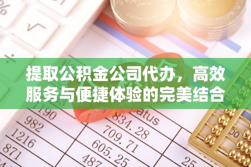 大安提取公积金公司代办，高效服务与便捷体验的完美结合