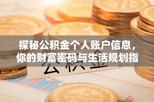 大安探秘公积金个人账户信息，你的财富密码与生活规划指南