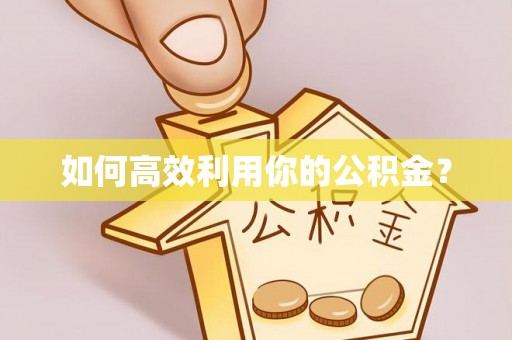 大安如何高效利用你的公积金？