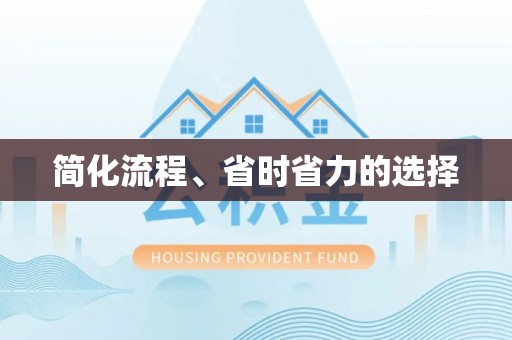 大安简化流程、省时省力的选择