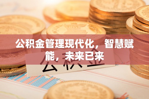 大安公积金管理现代化，智慧赋能，未来已来
