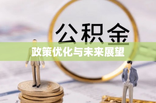 大安政策优化与未来展望