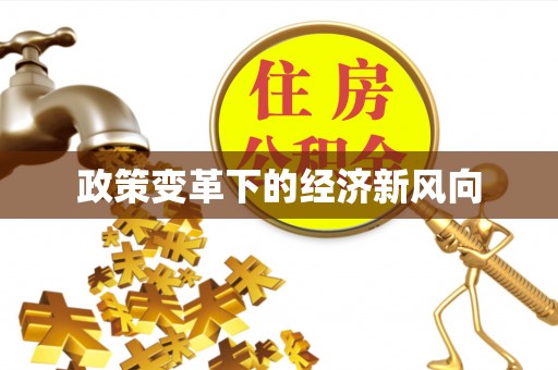 大安政策变革下的经济新风向